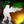 Icono de Defend Homeland